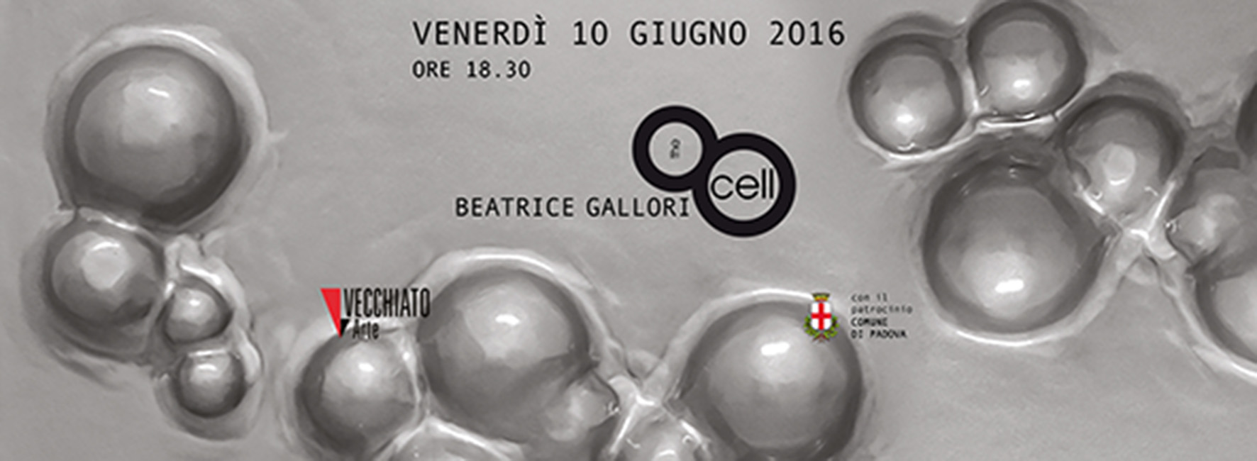 Beatrice Gallori, 'The Cell', Vecchiato Arte - Padova © aut./VecchiatoArte